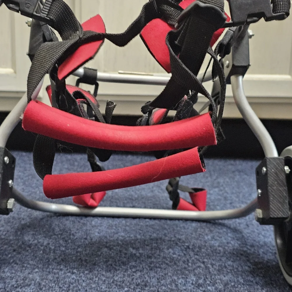 Wheelchair for Dogs